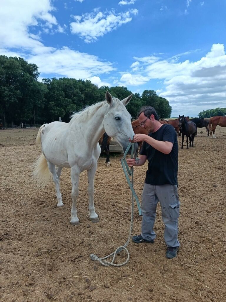 equithérapie