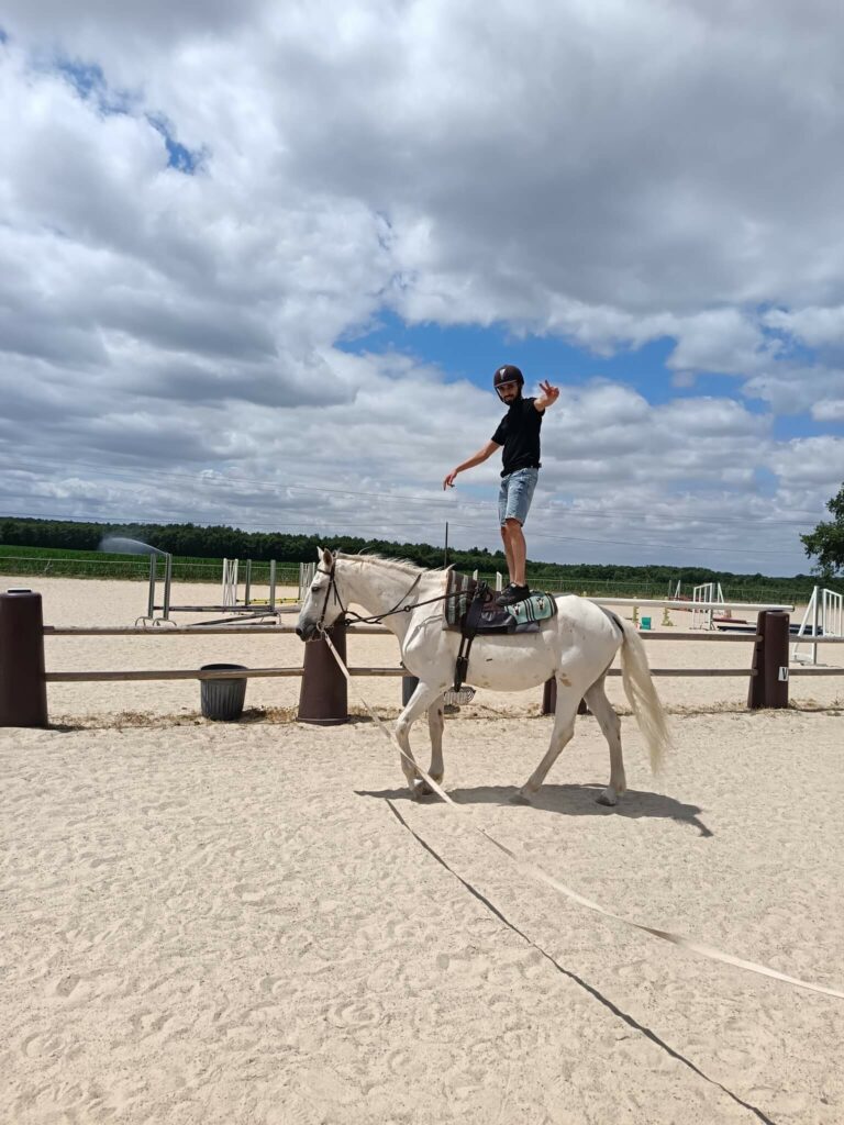 equithérapie