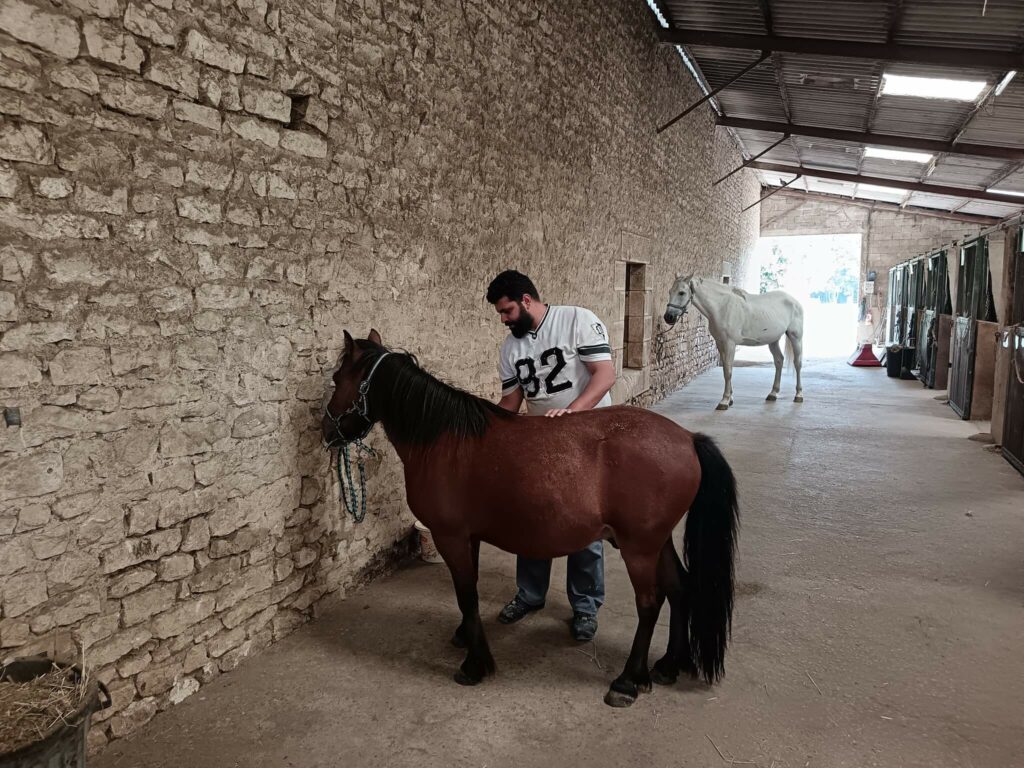 equithérapie